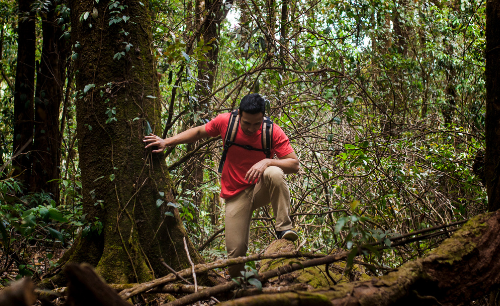 Deep Jungle Treks