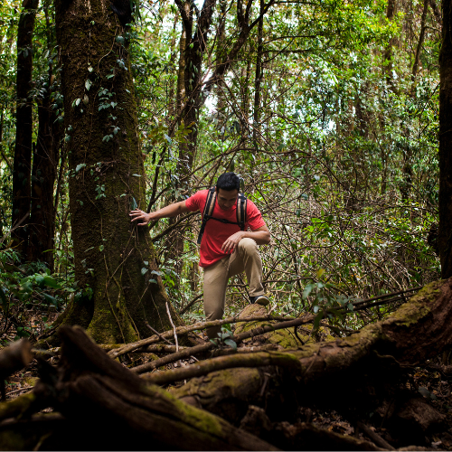 Deep Jungle Treks